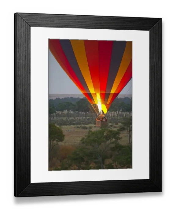 Framed Print : Hot air balloon carrying tourists over Masai Mara Kenya at dawn Framed Print : Hot air balloon carrying tourists over Masai Mara Kenya at dawn