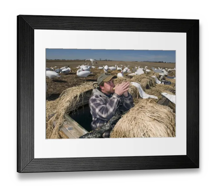 Framed Print : 005945 Framed Print : 005945