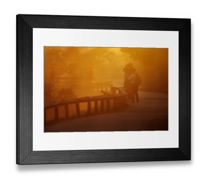 Framed Print : Birdwatching along the Anhinga Trail in Florida Everglades at dawn Framed Print : Birdwatching along the Anhinga Trail in Florida Everglades at dawn