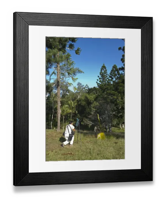 Framed Print : Birdwatchers in Varirata National Park Papua New Guinea Framed Print : Birdwatchers in Varirata National Park Papua New Guinea