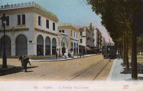 Avenue Jules Ferry, Tunis, Tunisia, North Africa