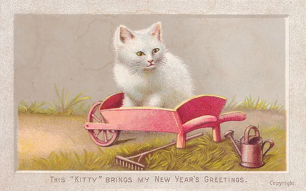 Cat in wheelbarrow on a New Year card