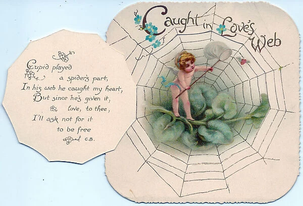 Cupid and spiders web on a Valentine card
