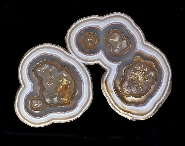 Agate. A cut and polished section of brown banded agate from Brazil
