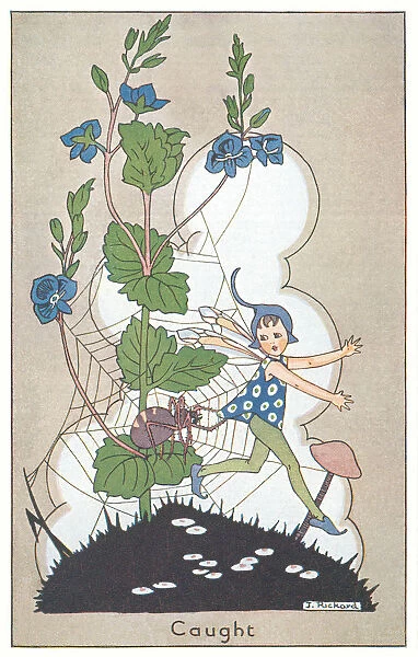 Fairyland. A fairy caught up in a spiders web. Artist: J Rickard. Date: 1927