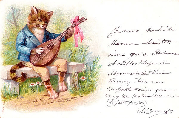 Musical cat playing a mandolin on a French postcard