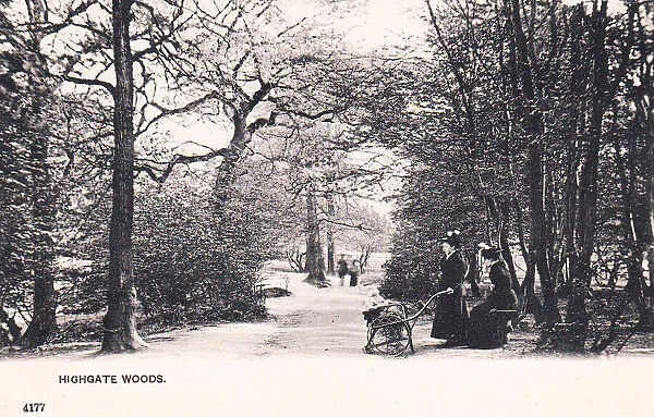 People in Highgate Woods, North London