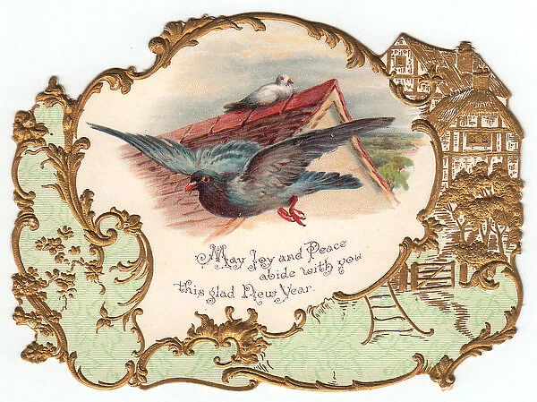 Pigeon and dove on a New Year card
