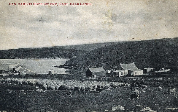 San Carlos Settlement, East Falklands