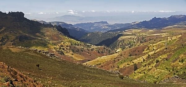 Bale Mountains foothills, Ethiopia C017  /  7615
