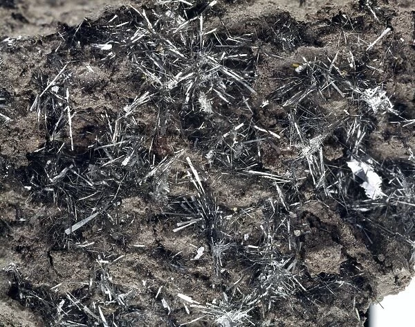 Tenorite mineral crystals C016  /  4933