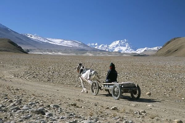 Farmer going home near Tingri, Cho Oyu and Himalayas in distance, Tibetan Plateau