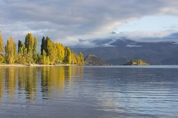 View across tranquil Lake Wanaka, autumn, Roys Bay, Wanaka, Queenstown-Lakes district