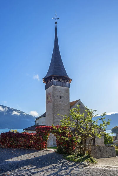 Castle Church of Spiez castle, Spiez, Berner Oberland, Switzerland