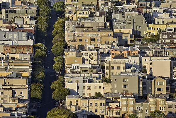 View to Lombard street, San Francisco, California, USA