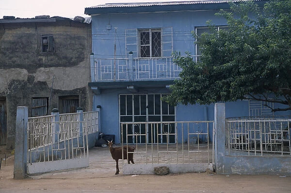 20084549. NIGERIA Kano Typical house with blue painted exterior white metal balcony