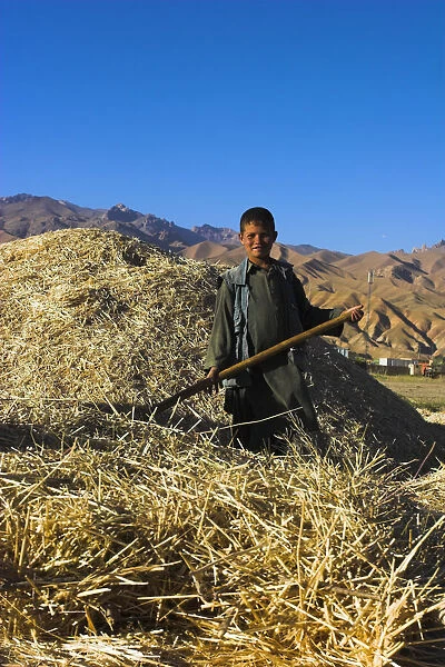 20085264. AFGHANISTAN Bamiyan Province Bamiyan Boy threshing