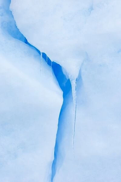 01952dt. Icicles hanging from iceberg Weddell Sea Antarctica