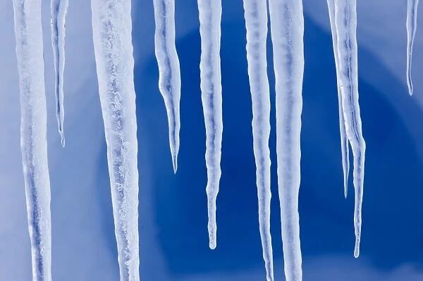 01975dt. Icicles hanging from iceberg in Weddell Sea Antarctica November