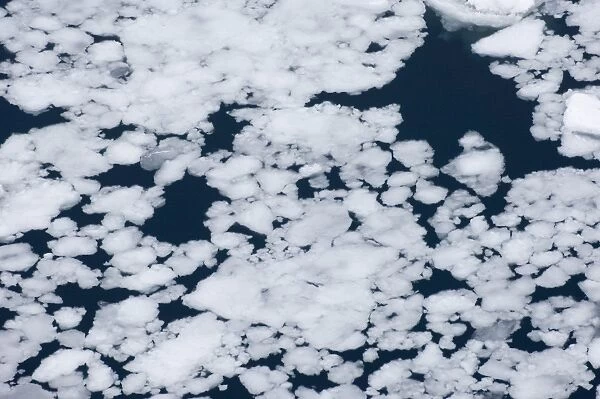 01986dt. Brash Ice in Weddell Sea Antarctic