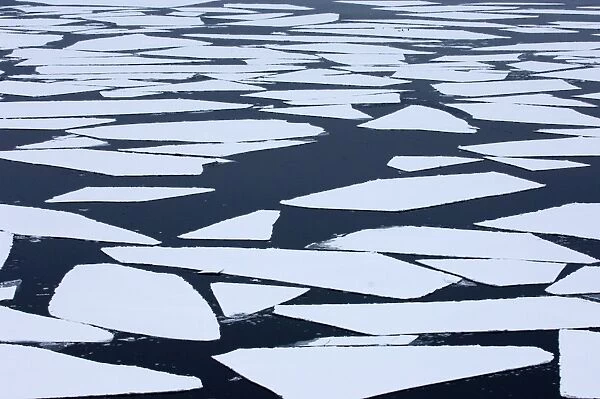 01991dt. Broken pack ice - Brash Ice in Weddell Sea Antarctic