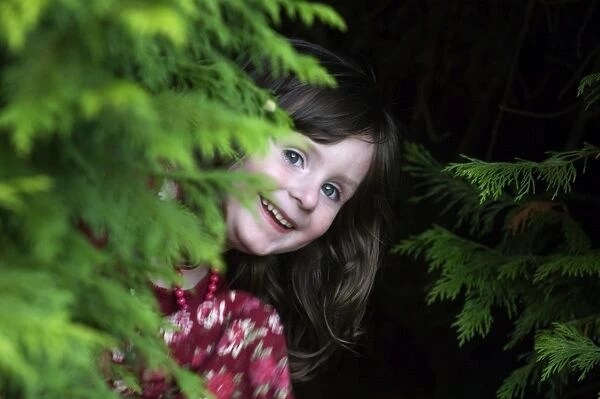 3yr old girl peeping around bush in garden Kent UK summer