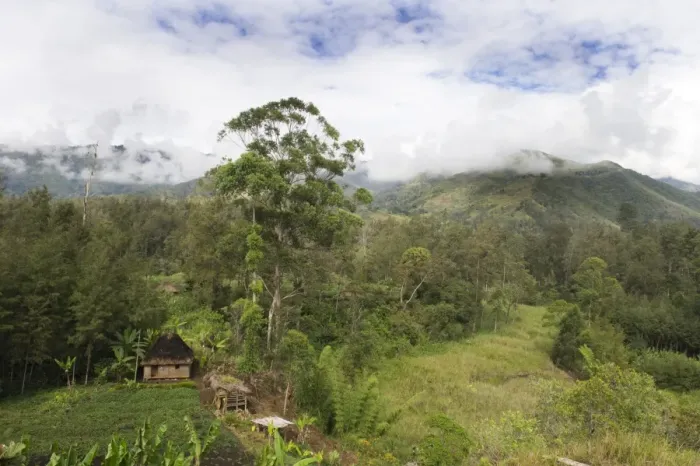 Framed Print : Agriculture and habitation in valley in Western Highlands near Mt Hagen Papua New Guinea