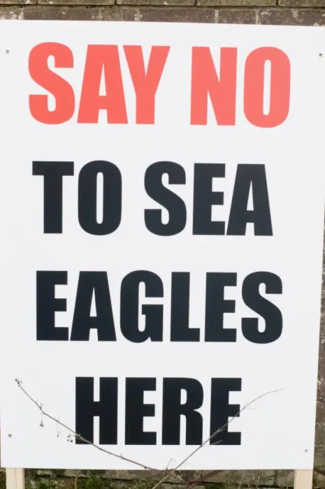 Framed Print : Anti Sea Eagle reintroduction scheme sign at Holkham North Norfolk Feb 2010 Framed Print : Anti Sea Eagle reintroduction scheme sign at Holkham North Norfolk Feb 2010