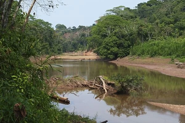 Backwater of the Tambooata River in Amazon Rainforest Tambopata Peru