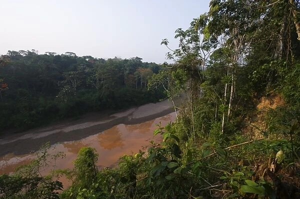 Backwater of the Tambopata River, Tambopata Peru Amazon Basin