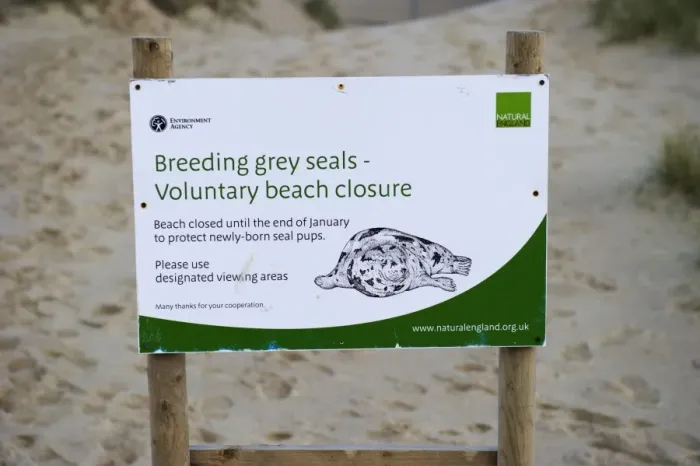Framed Print : Beach closure sign at Grey Seal breeding colony Winterton Norfolk December Framed Print : Beach closure sign at Grey Seal breeding colony Winterton Norfolk December