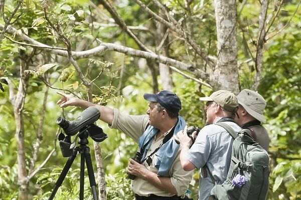Birders searching for Cebu Flowerpecker in Alcoy Forest Cebu Philippines