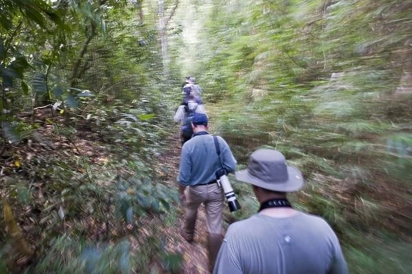 Birding a forest trail on Palawan in Philippines