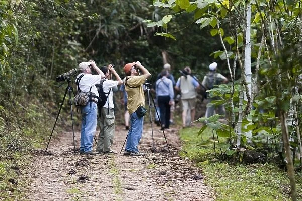 Birding group on trail in lowland tropical rainforest Peten Guatemala