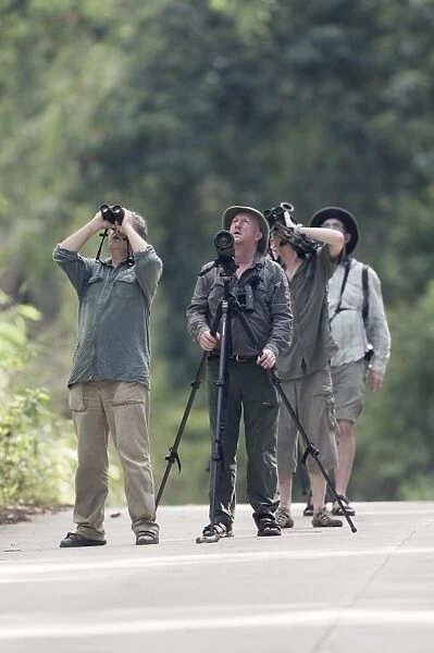 Birding in lowland forest along road close to Sabang on Palawan Philippines
