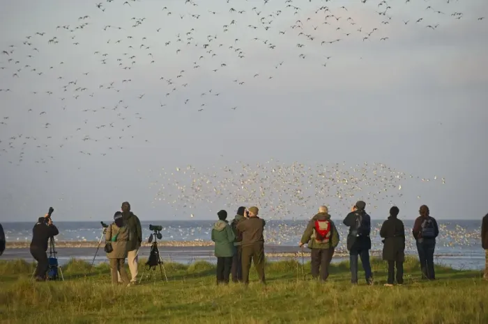 Framed Print : Birdwatchers watching waders over the Wash at Snettisham RSPB Reserve Norfolk winter