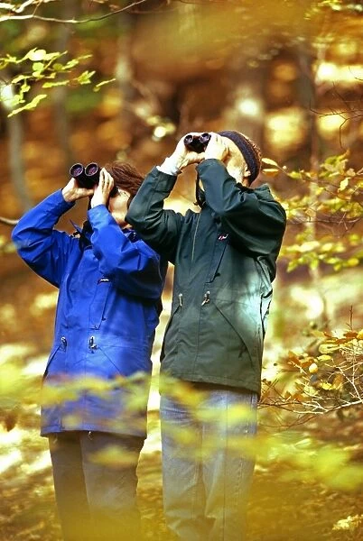 Birdwatching couple in woodland, autumn, UK