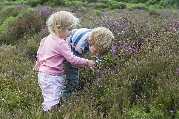 Boy and girl (4 & 2) with magnifying glass looking at insects on heath North Norfolk July