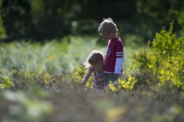 Brother and sister exploring a heath Norfolk summer