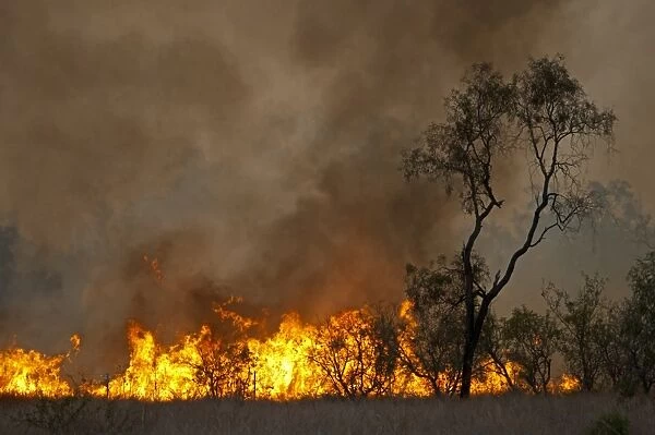 Bush fire near Charter Towers Queensland Australia October