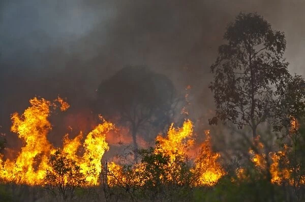 Bush fire near Charter Towers in Queensland Northern Australia October