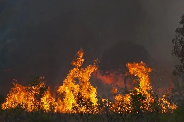 Bush fire near Charter Towers in Queensland Northern Australia October