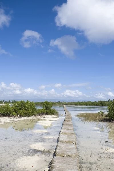 Causeway through mangroves at Olango Island Wlidlife Sanctuary Lapu-Lapu Cebu Philippines