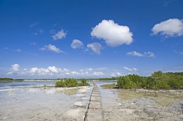 Causeway through mangroves at Olango Island Wlidlife Sanctuary Lapu-Lapu Cebu Philippines