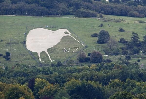 Chalk Kiwi on Beacon Hill above Bulford Wiltshire Kiwi was constructed to commemorate
