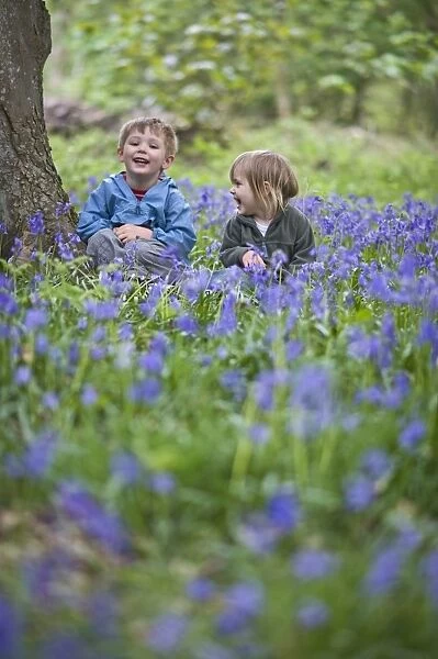 Children playing in bluebell wood Norfolk UK may