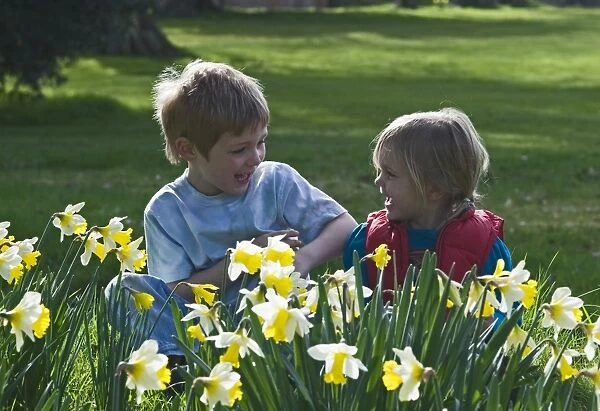 Children playing among daffodils in spring Norfolk UK