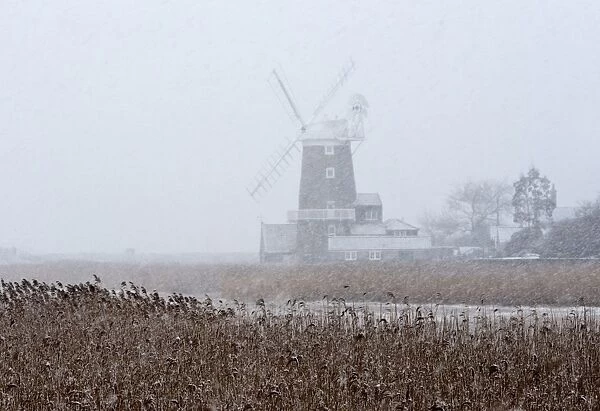 Cley Mill in blizzard Cley Norfolk wnter