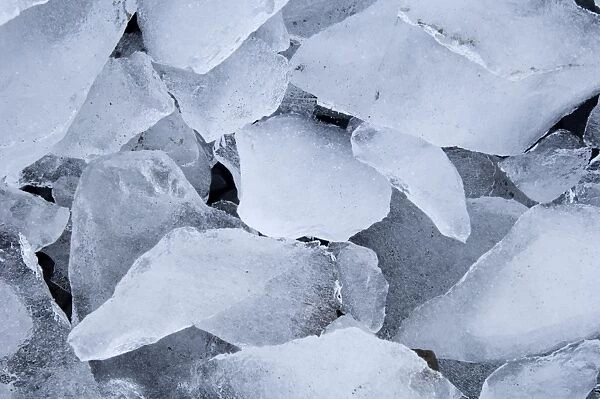 Close up of pieces of ice washed up on to beach at Brown Bluff on Antarctic Peninsula