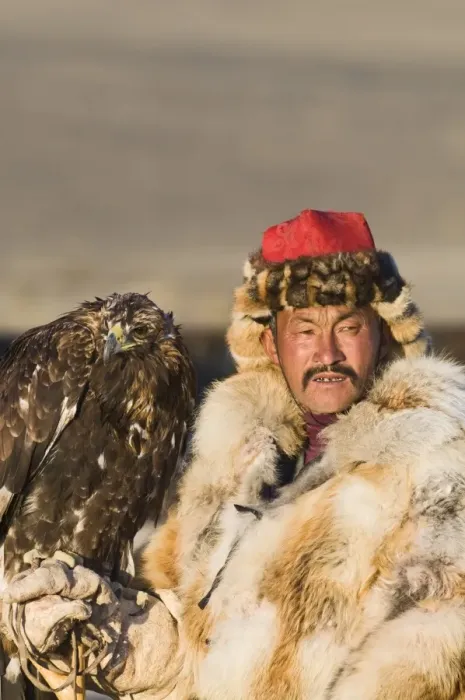 Framed Print : Dalai Han an Kazakh eagle hunter with his Golden Eagle Bayan-Ulgii in Altai Mountains